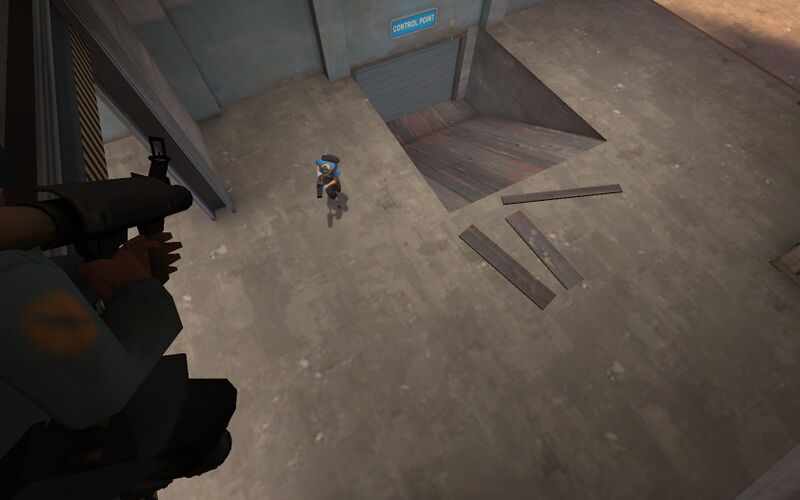 File:Roamer gullywash hiding.jpg