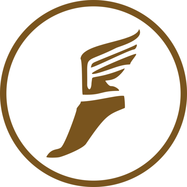 File:ScoutIcon.png