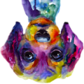 Thumbnail for version as of 02:00, 29 March 2016