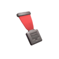 participant