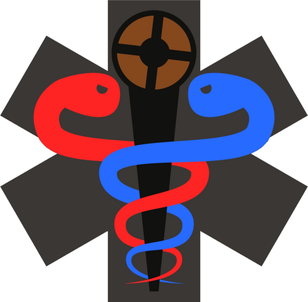 File:Doctors of Mediocrity Logo.png