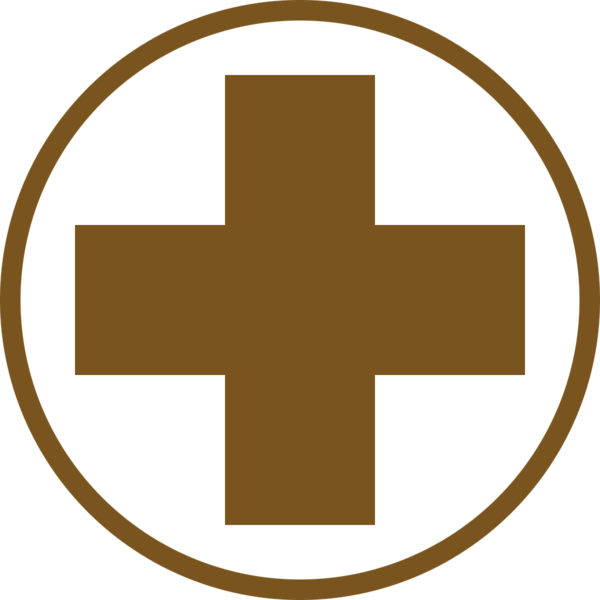 File:MedicIcon.png